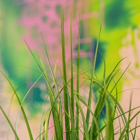 Panorama Penthouse Mit Atemberaubenden See- Und Bergblick شقة اممنستاد ام بودينسي